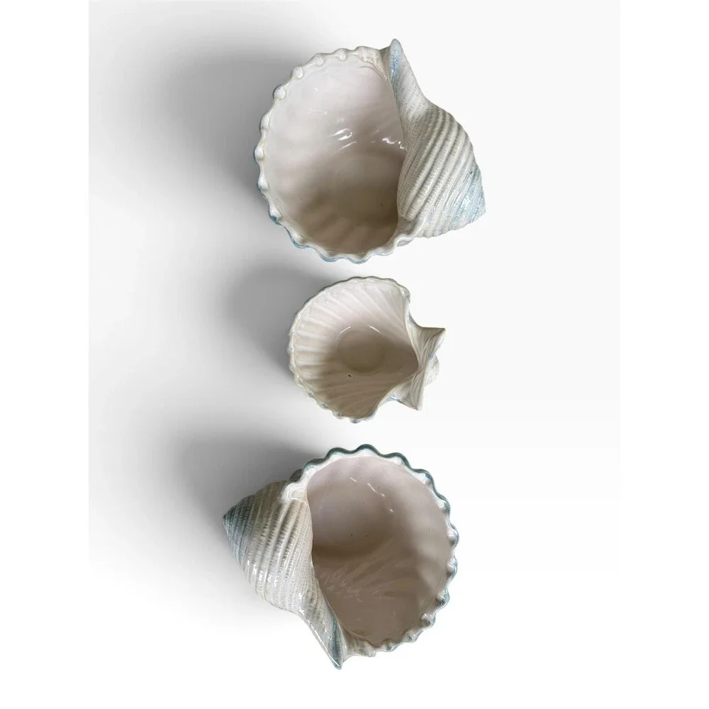 Set of 3 sea shell ceramic bowls planters by Shoreline Collection